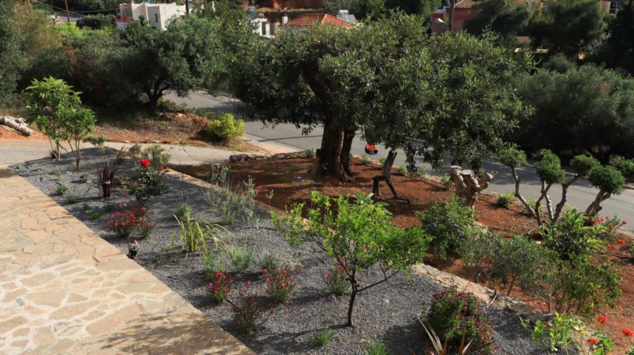 Comfortable Apartment With Garden - Casa Con Vista Havania 외부 사진